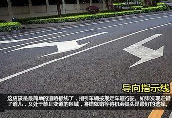 看清信號燈、標牌與標線