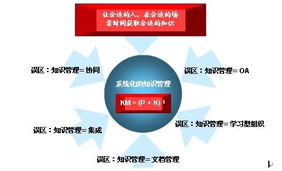 藍(lán)凌 您的知識管理專家與全方位管理咨詢解決方案